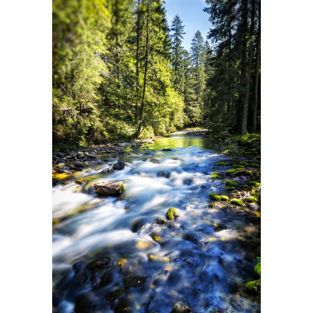 Mountain Stream von Ewg3D - Kunstdrucke auf Leinwand ohne Rahmen