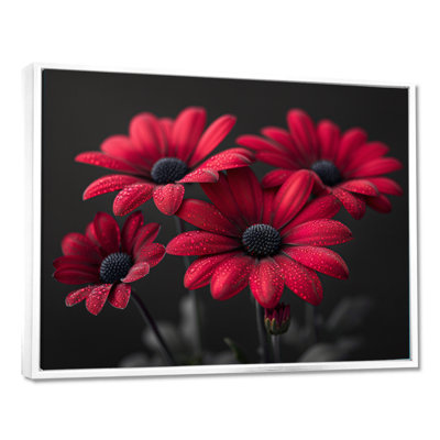 Monochromes rouges, romantiques, lueur romantique I - marguerites, impression d'art mural