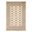 Tapis unique en laine noué à la main Bokhara 4 pi 8 po x 6 pi 8 po Peshawar
