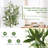 71.5'' Faux Olive Tree Tree in Pot