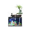 Aquarium en verre-1038129497