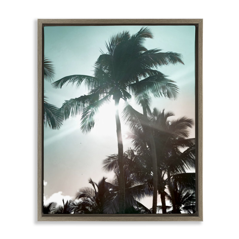 «Shady Palm Trees», art mural encadré sur toile flottante par Noah Bay, Cadre flottant orme Montalcino, H 31 po x l 25 po