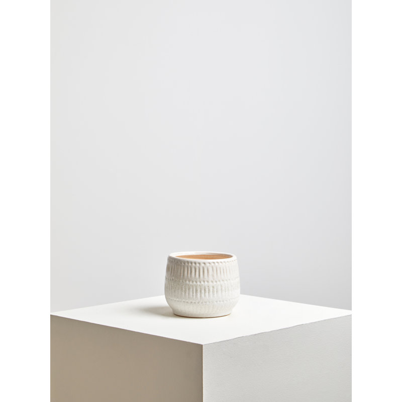 Beverley Pot Planter