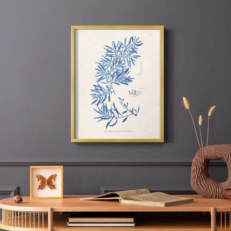 «Blue Marine Algae III», reproduction encadrée - bois massif, Or, H 28 po x l 22 po