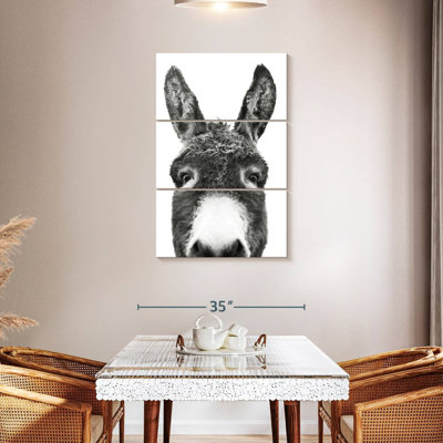 Brampt Peeking Donkey In Black And White