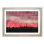 Pink Sunset Above A Forest - Single Picture Frame Print on MDF-56704827-56704830