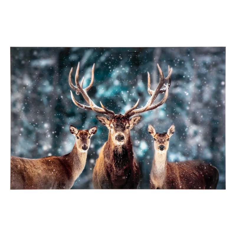 Rangale - Wall Art