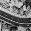 Rideau de douche Winding Road White Forest-566675451