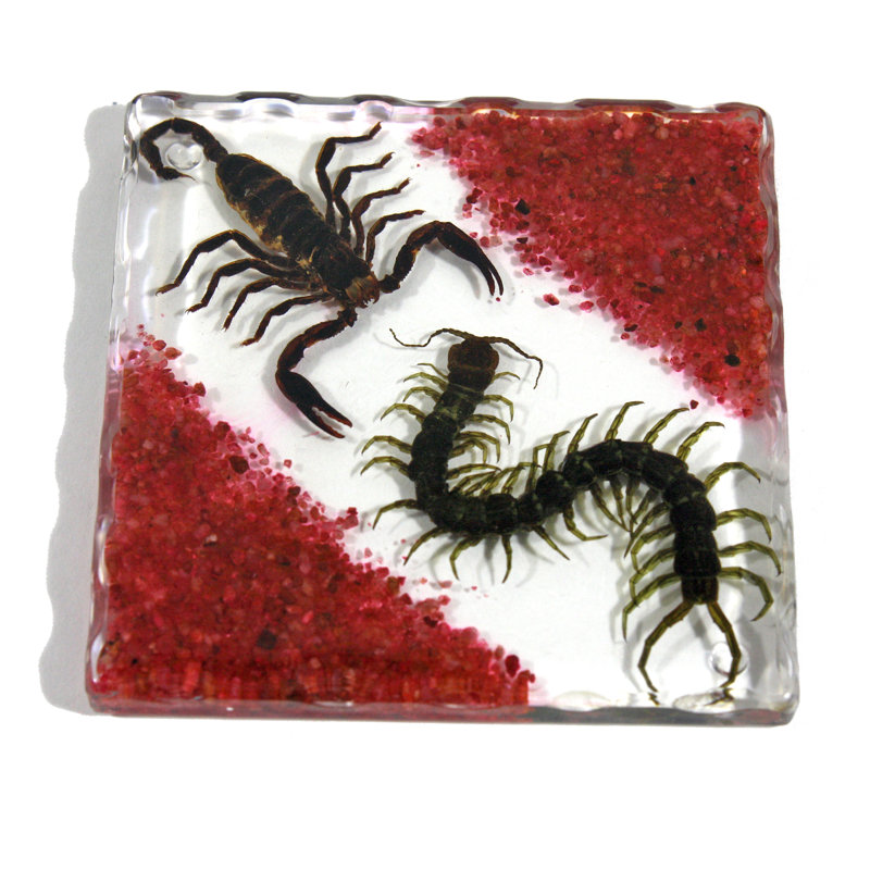 Silicone Square 1 Piece Coaster