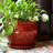 Handmade Ceramic Pot Planter