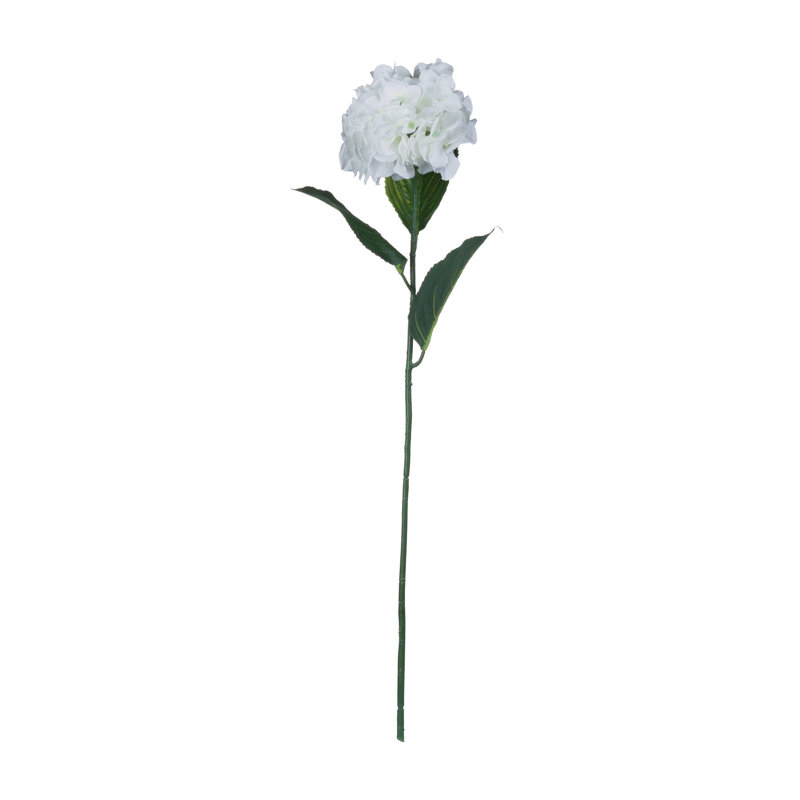 Anastasija Arrangement