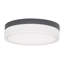 Cirque LED Outdoor Flush Mount-56359841