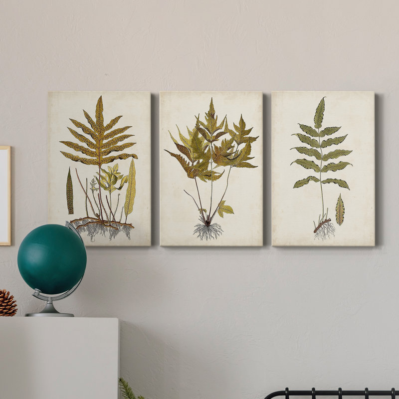 Fern Botanical I - Ensemble de 3 peintures sur toile tendue, H 27 po x l 54 po x P 1 po