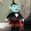Anaum Decorative Accent