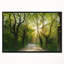 «Evening in Green Forest», photographie encadrée sur toile-26695231