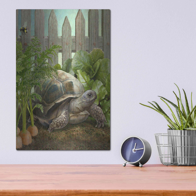 «Four Of WaterTortiose» par Dan Craig, H 16 po x l 12 po