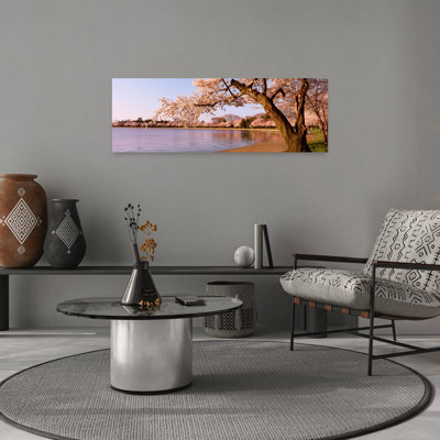 Cherry Blossom Tree Along A Lake, Potomac Park, Washington Dc, Usa Tranquil Abstract Contemporary Cherry Tree Flower Landscape Wall Art