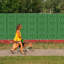 Herbe