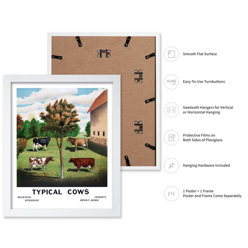 Vaches typiques, H 12 po x l 16 po, Affiche, Encadrement blanc