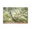 Angel Oak Tree by Apryl Roland - Gallery-Wrapped Canvas Giclée on Canvas-315156552-315156564-315156554