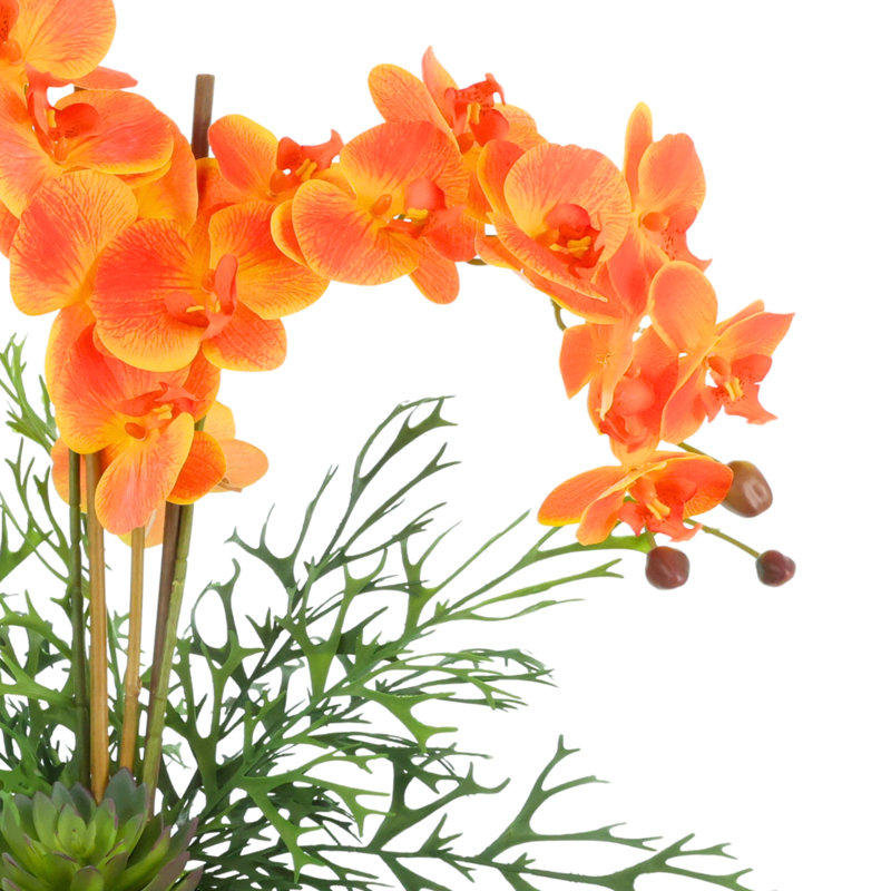 Arrangement orchidée et fougère