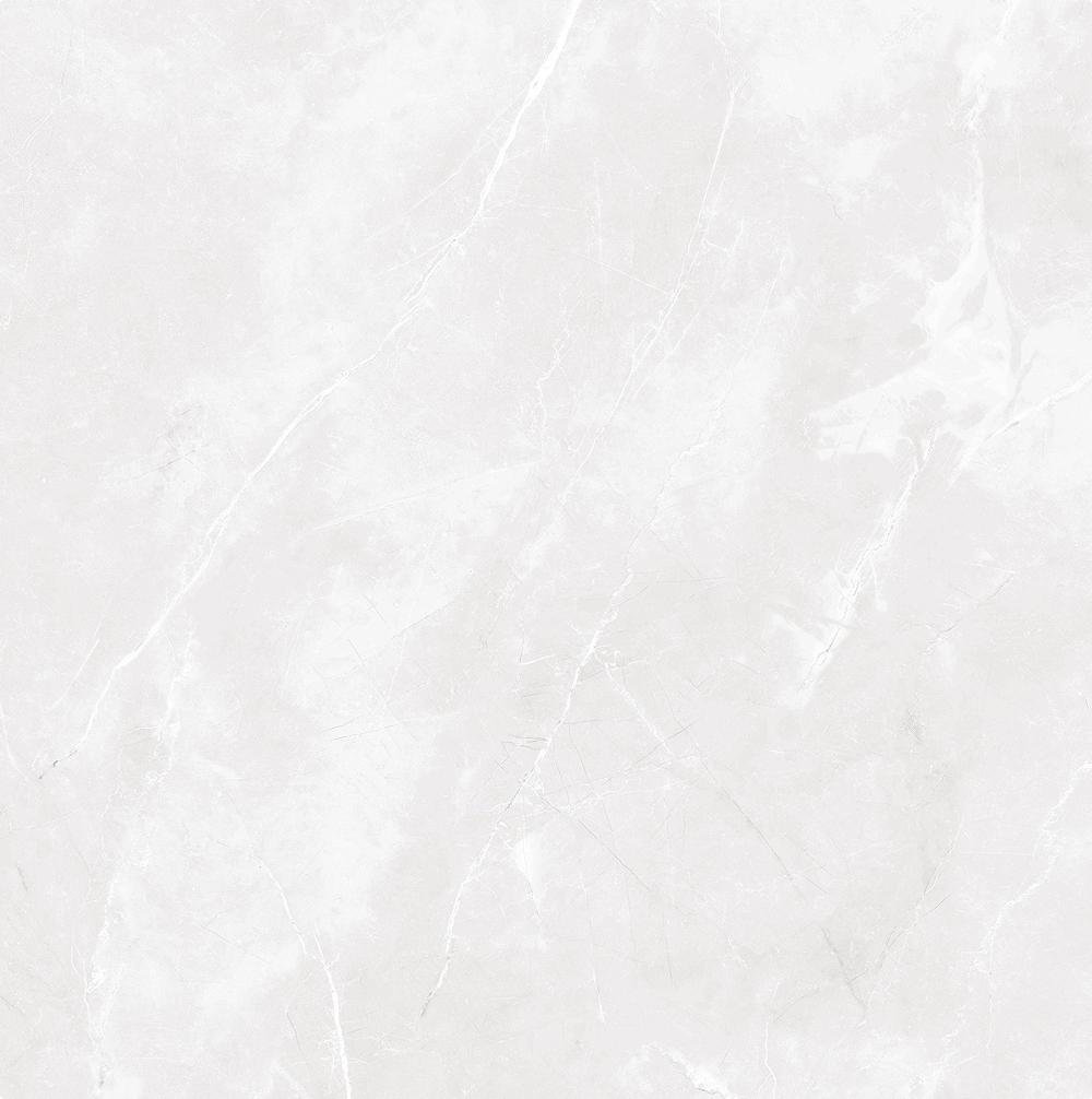 Magi 12" x 24" Polished Tile, Blanco