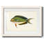 Collection de poissons tropicaux I-787608192-787608195