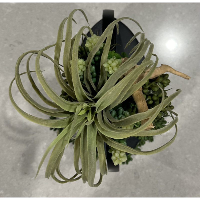 Succulent Design on Black Metal Vase |Unique Succulent Arrangements | Artificial Succulents