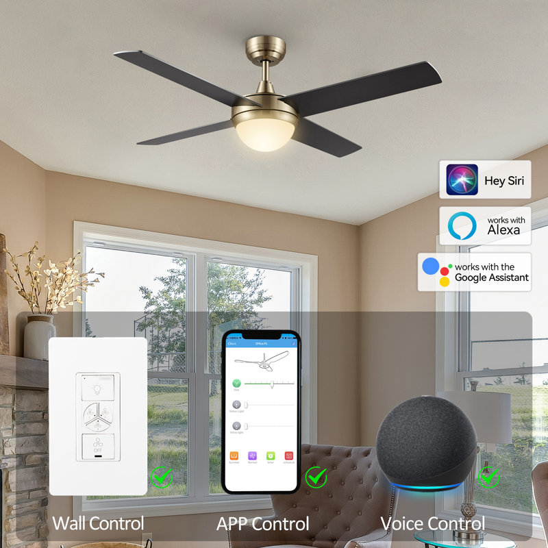Edelbert 52'' Ceiling Fan with LED Lights, Black, Gold