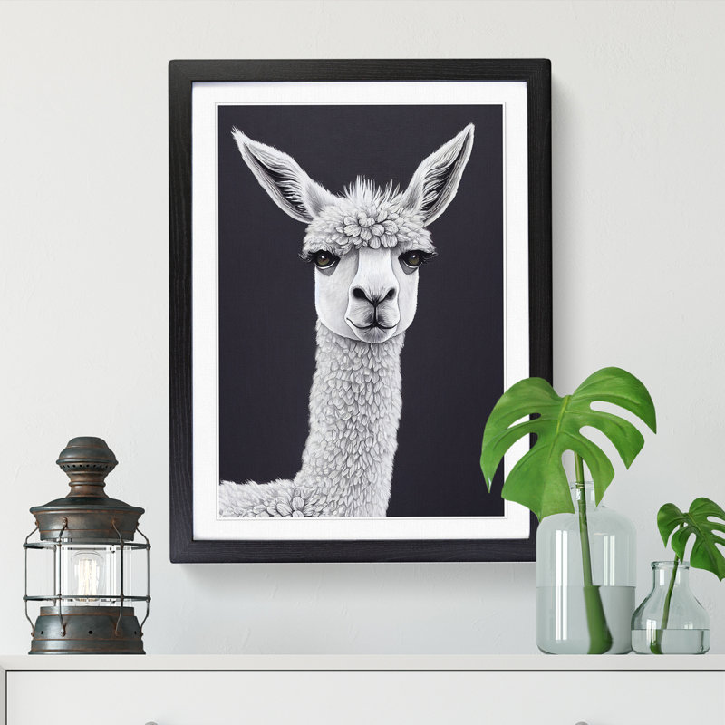 Face Of A Llama Vol.2 - Single Picture Frame Print, Black, 34cm H x 25cm W x 2cm D