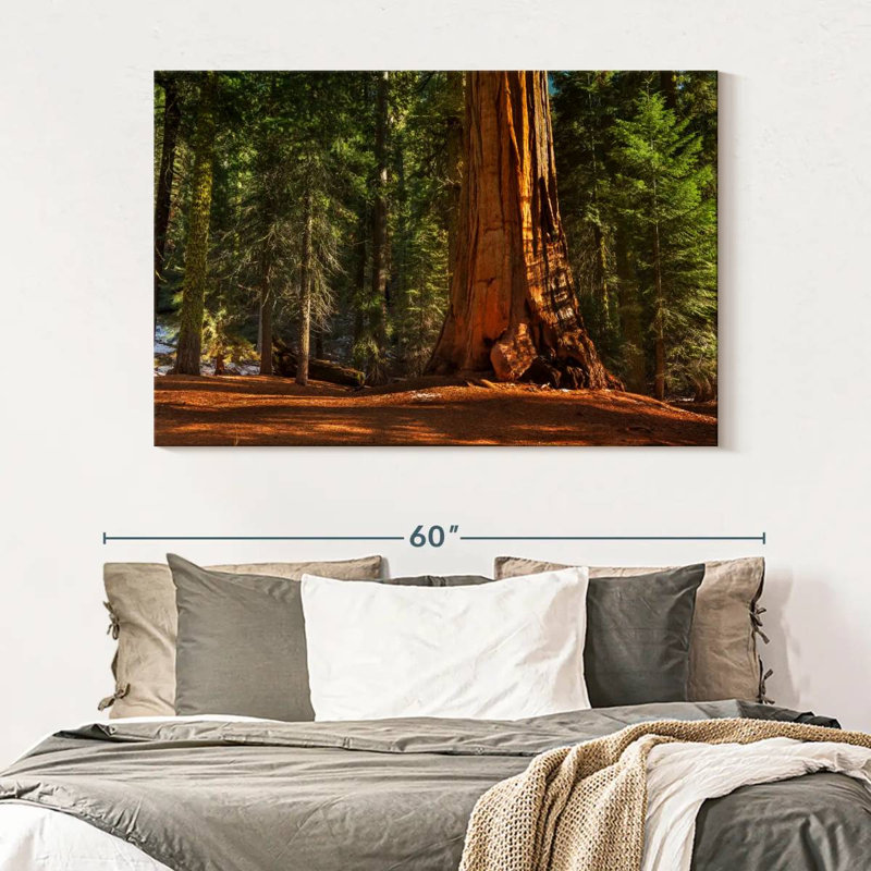 Alvord général Grant Grove arbres, H 34 po x l 51 po