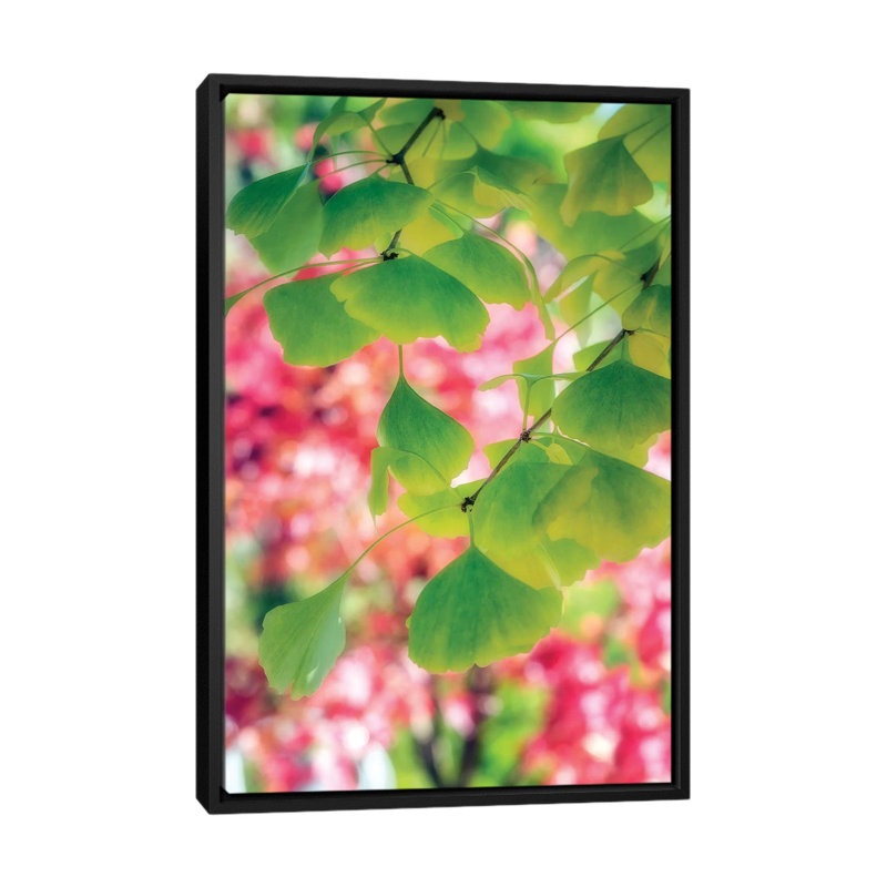 Rain Of Leaves by Philippe Sainte-Laudy - Print on Canvas, 101.6 cm H x 66.04 cm W, Black Framed
