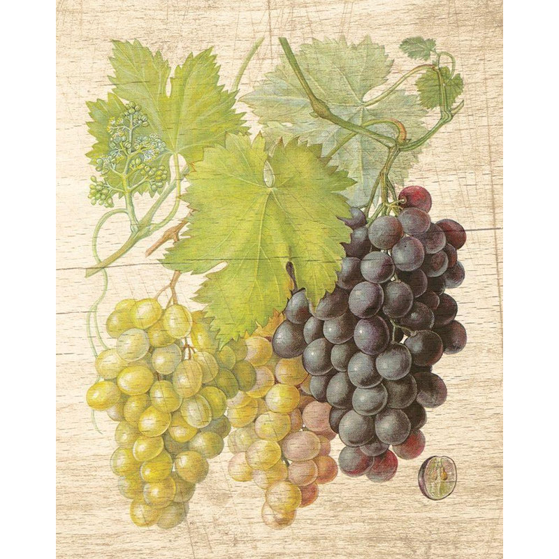 «August Grape® Nobleworks Inc.», art sur toile tendue par August Grove®, H 24 po x l 20 po