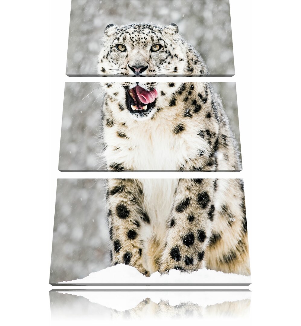 3-tlg. Leinwandbilder-Set Leopard im Schnee, Fotodruck