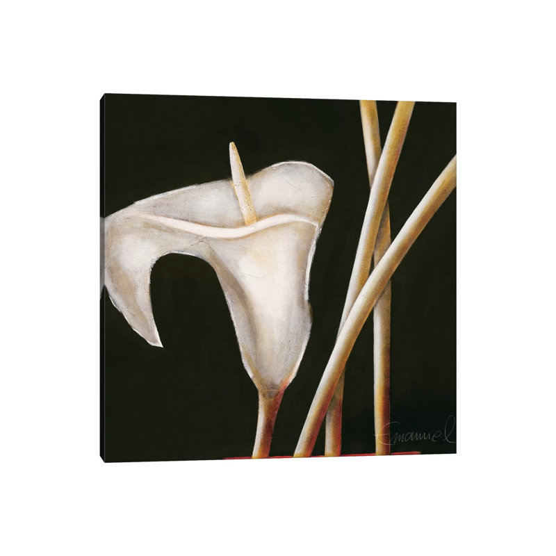 Lily In Sepia I by Beate Emanuel - Wrapped Canvas Print, 30.48 cm H x 30.48 cm W