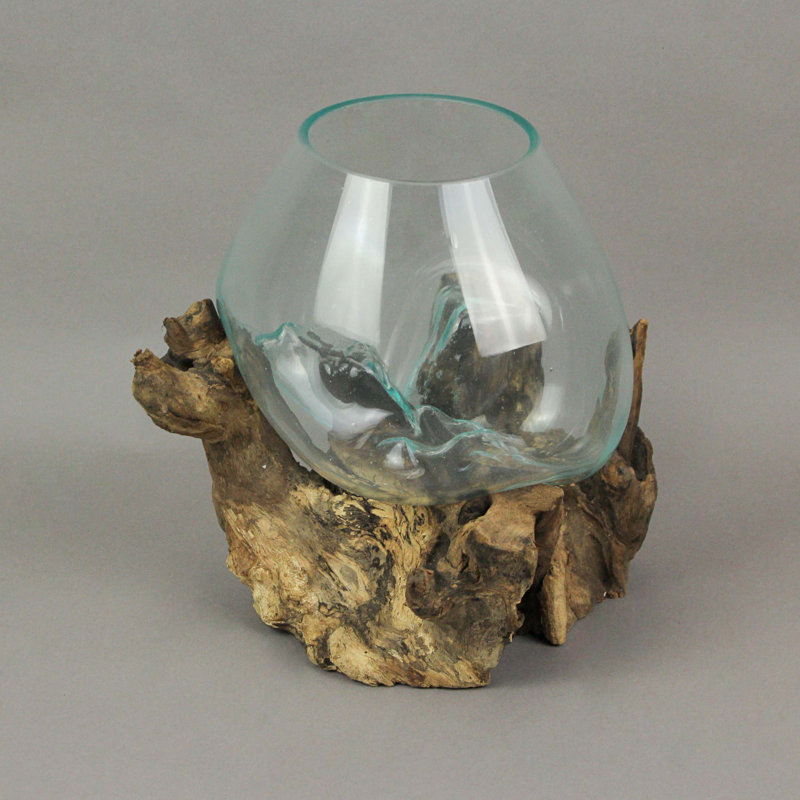 Clear Glass Sculptural Bowl on Natural Driftwood Base, 10 Inches