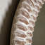 Janette Mirror-960219724-960219726