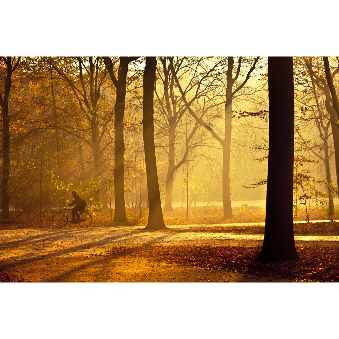 Radfahren im Stadtpark am Morgen von Zodebala - Leinwandbild