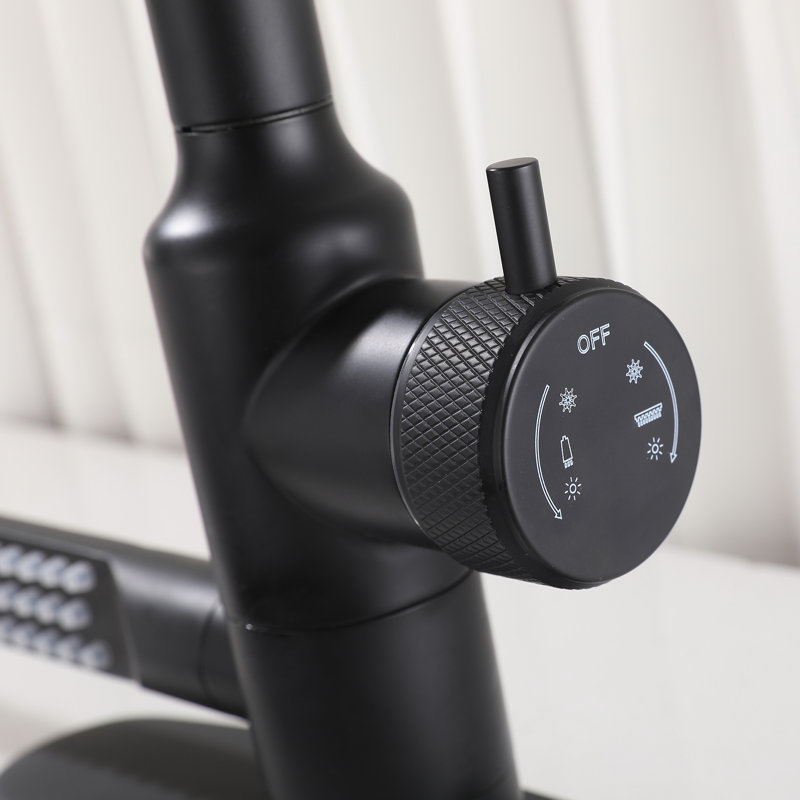 Single Handle Pull Down Kitchen Sink Faucet with Rotatable Side Sprayer, Matte Black
