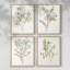 «Simple Sprig I», ensemble de 4 reproductions encadrées-855006138-855006132