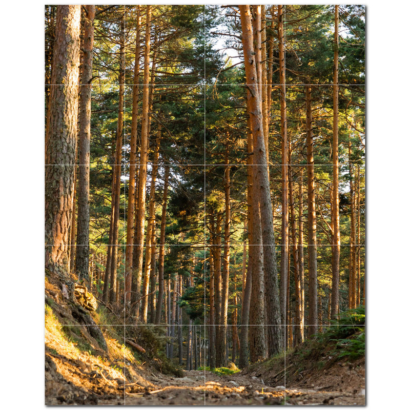 Photo d'automne 8 x 8