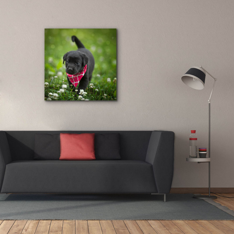 «Black Lab Pup 3» par Jonathan Ross, art mural sur toile, H 12 po x l 12 po x P 0,75 po
