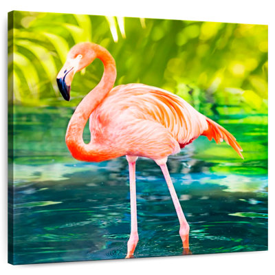Brampt Flamingo Wading In Water