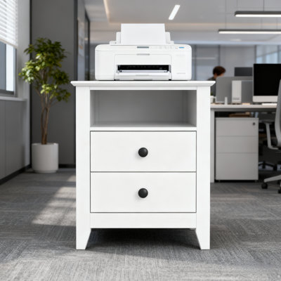 Printer Stand With 2 Drawers & Shelf