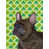 Bouledogue français (brun)