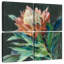 Harnek Deep Protea-109119917