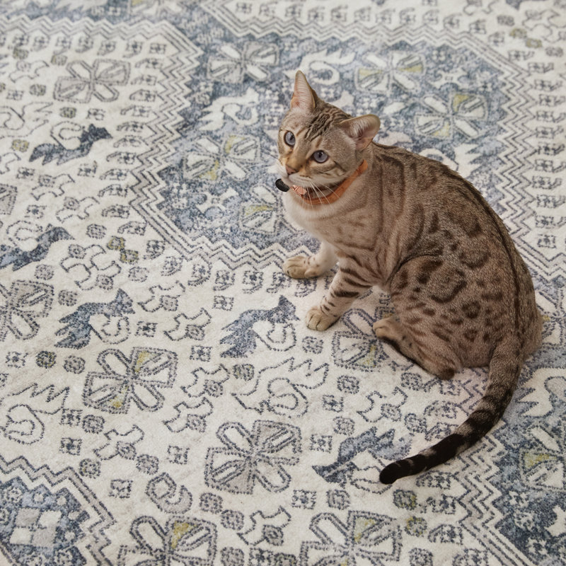 Phoebe Machine WashableOriental Area Rug in Cream/Blue, Rectangle 7'10" x 10'