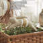 Coussin Spring In Bloom