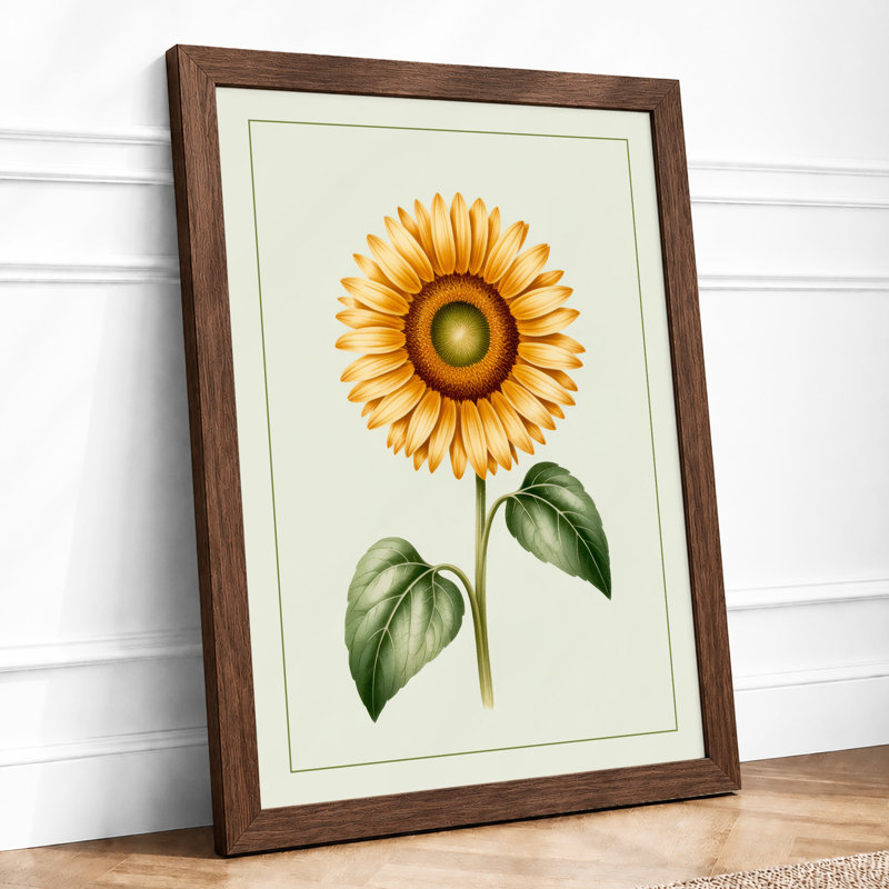 Sunflower Study Botanical - Print, A2 - 59.4 x 42.0 cm, Walnut