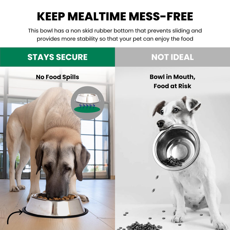 Stainless Steel Non-Skid Pet Bowl with Rubber Ring